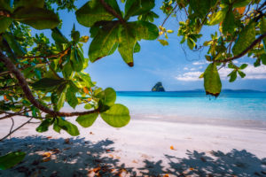 El Nido, Palawan, Philippines Journey. Tropical beach scenery with rocky islands in open ocean framed with lush vegetation leaves. El Nido, Palawan, Philippines Journey. Tropical beach scenery with rocky islands in open ocean framed with lush vegetation leaves.
